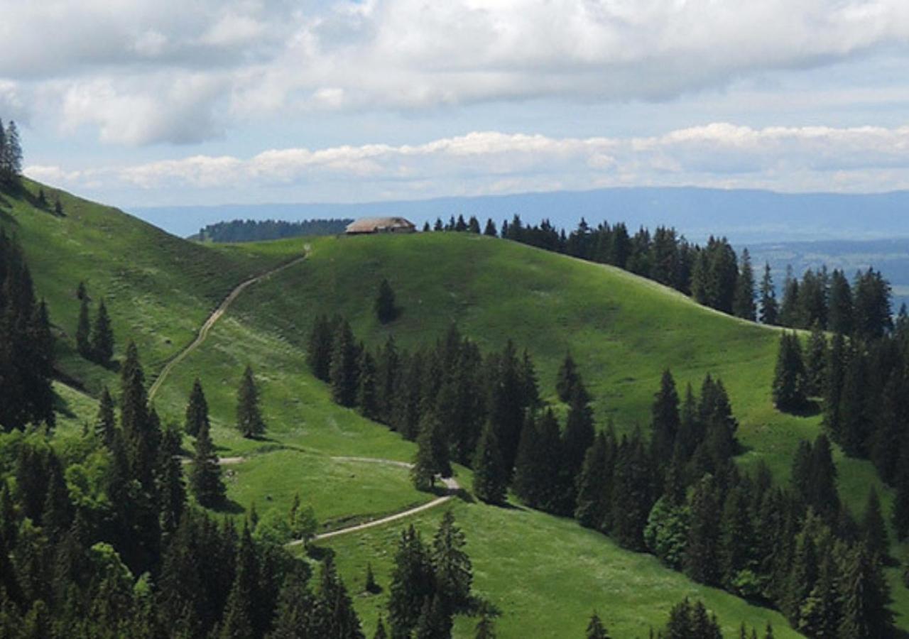 Au Petit Gite Les Paccots Châtel-Saint-Denis Esterno foto